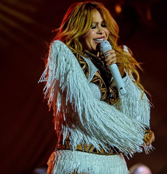 [Joelma tira microfone de fã à força após receber críticas em show no Amazonas]